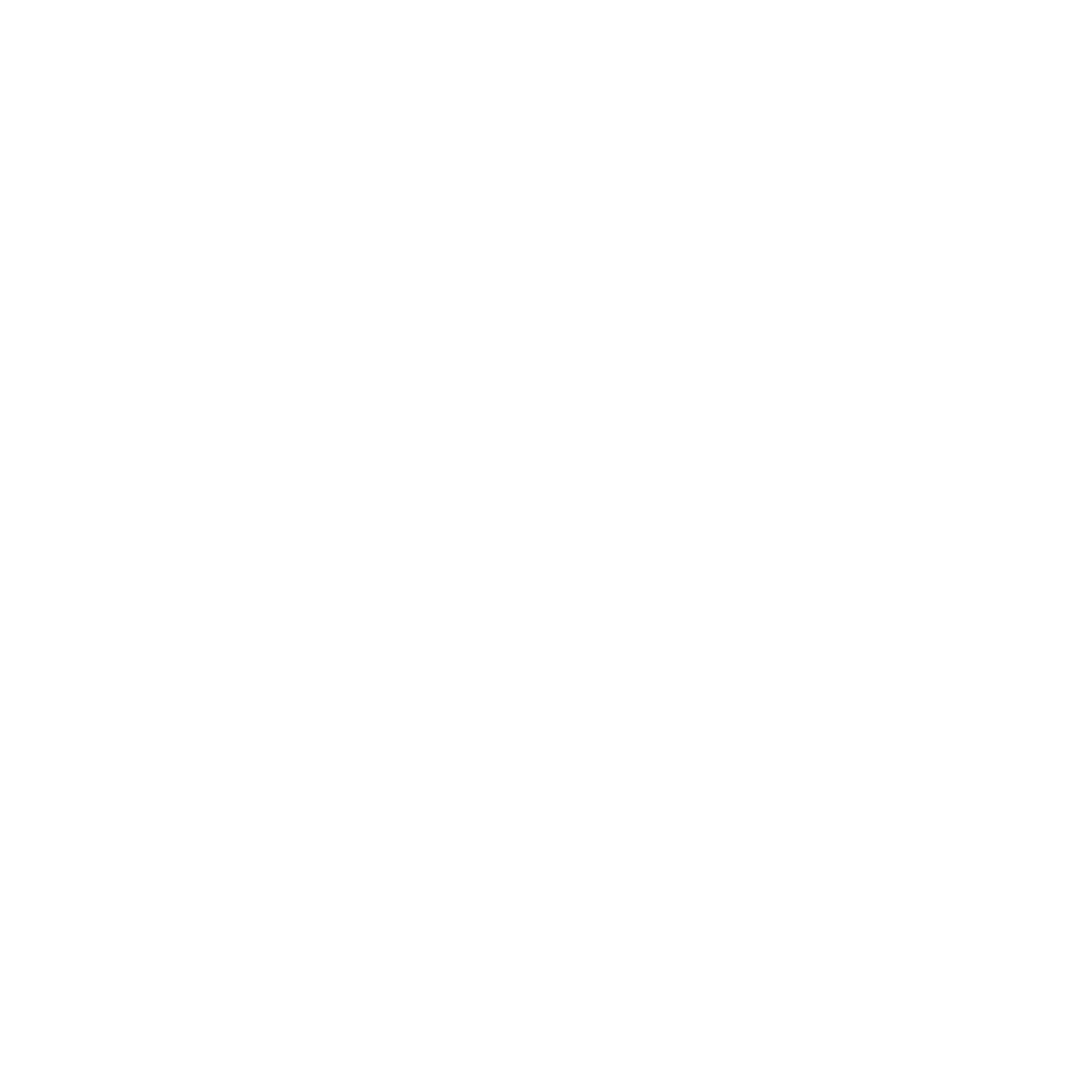 Electri FI Wealth